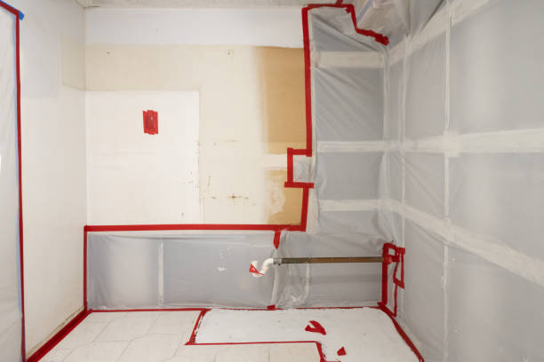 Best Commercial Mold Inspection  in Bethpage, NY