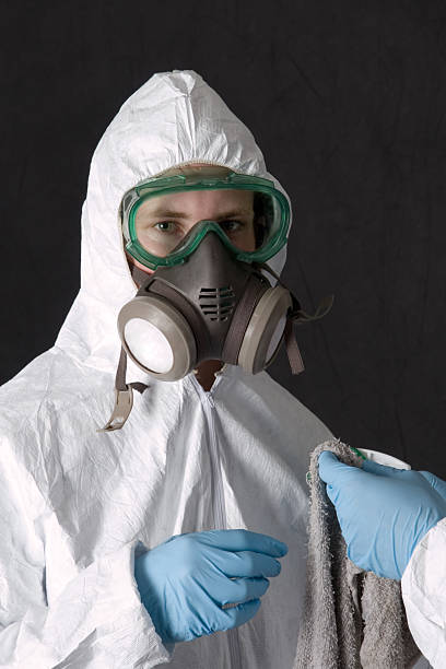 Best Forensic Mold Investigation  in Bethpage, NY